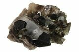 Dark Smoky Quartz Crystal Cluster - Brazil #134946-1